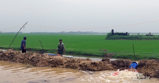 Huy động tổng lực máy bơm để cứu lúa đông xuân