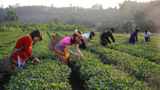 Chiếc áo mới cho sản phẩm từ làng từ quê