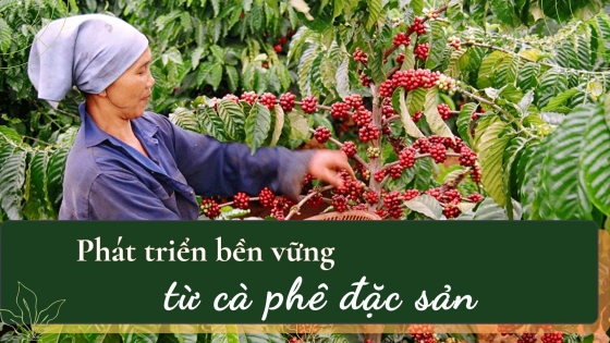 Phát triển bền vững từ cà phê đặc sản