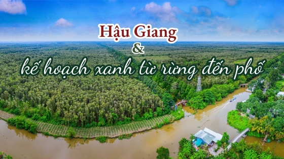 Xanh từ rừng đến phố