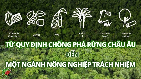 Từ Quy định chống phá rừng châu Âu đến một ngành nông nghiệp trách nhiệm