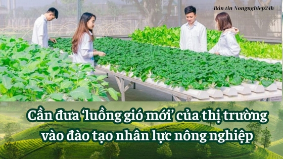 Cần đưa 'luồng gió mới' của thị trường tới khâu đào tạo nhân lực nông nghiệp