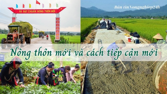 Nông thôn mới và cách tiếp cận mới