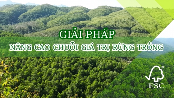 Giải pháp nâng cao chuỗi giá trị rừng trồng