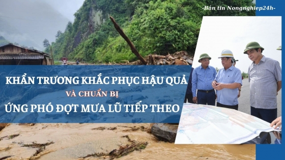 Khẩn trương khắc phục hậu quả và chuẩn bị ứng phó đợt mưa lũ tiếp theo