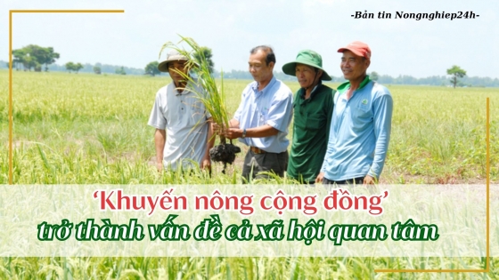 'Khuyến nông cộng đồng' trở thành vấn đề cả xã hội quan tâm