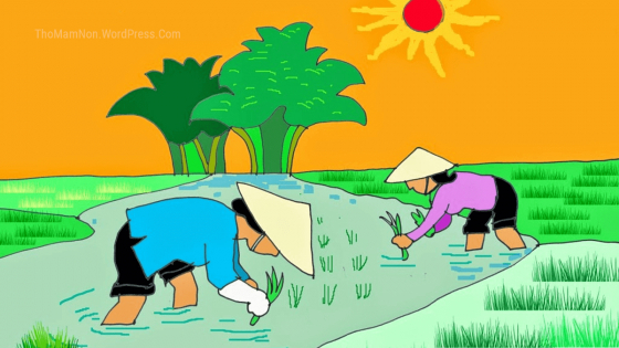 Radio đặc sắc: Cảm hứng hạt gạo làng ta