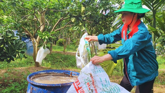 Lan tỏa quy trình nông nghiệp hữu cơ tuần hoàn