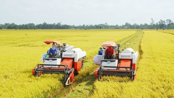 Đưa Trung tâm liên kết nông sản ĐBSCL thành hạt nhân nông nghiệp hiện đại