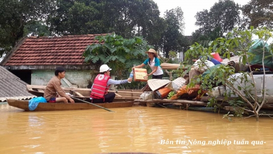 ASEAN chung tay hành động sớm trong phòng chống thiên tai