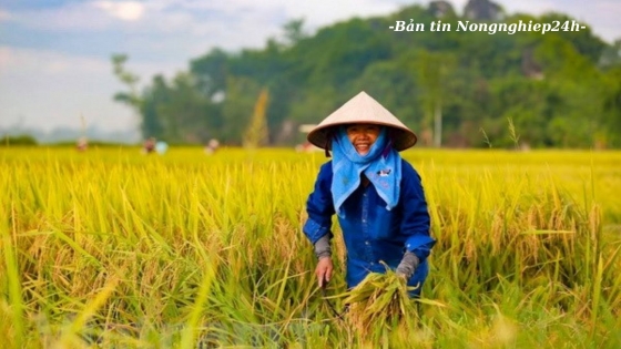 Lấy nông dân làm điểm tựa cho sự phát triển