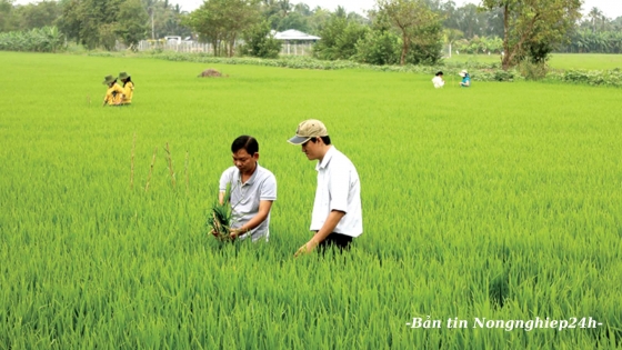 30 năm với sứ mệnh ‘ở đâu có nông dân, ở đó có khuyến nông’