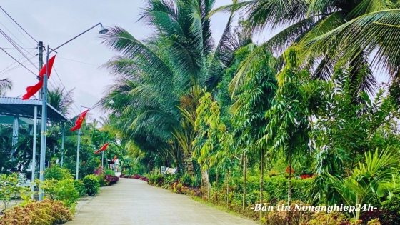 Tạo năng lực cụ thể cho địa phương trong xây dựng nông thôn mới