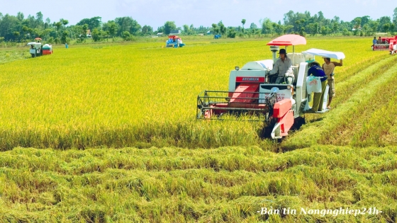 Sản xuất vụ hè thu, vụ mùa đạt nhiều kết quả quan trọng