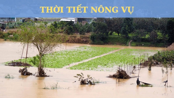 Thời tiết nông vụ ngày 1 tháng 11 năm 2023