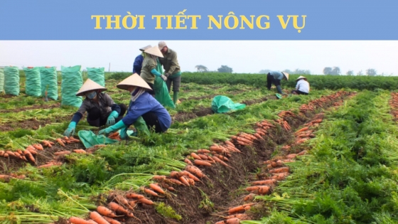 Thời tiết nông vụ ngày 2 tháng 11 năm 2023