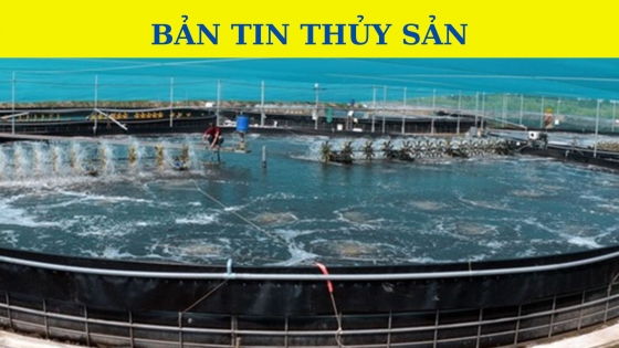 Bản tin Thủy sản ngày 6/11/2023: Giảm phát thải từ nuôi trồng thủy sản