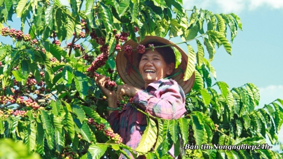 Nông dân là chủ thể của mọi quá trình kinh tế ở nông thôn