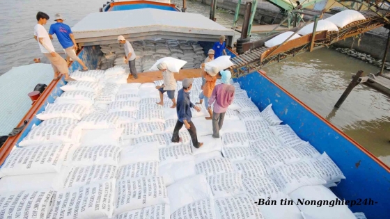 Việt Nam - Philippines tiến tới quan hệ đối tác đầu tư ngành hàng lúa gạo