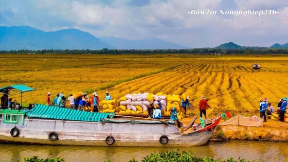 Vấn đề căn bản của canh tác bền vững là điều tiết nguồn nước