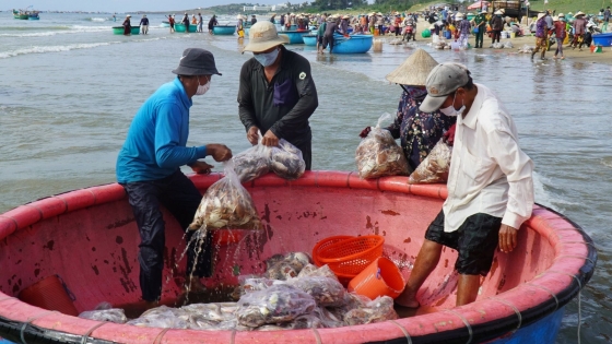 Bản tin Thủy sản ngày 8/4/2024: Phần lớn rác thải nhựa từ hoạt động thủy sản