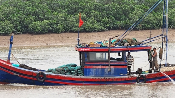 Bản tin Thủy sản ngày 19/4/2024: Xuất hiện tàu đánh bắt thủy sản bằng giã cào