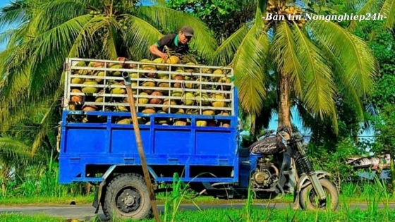 Xúc tiến thêm 3 sản phẩm xuất khẩu chính ngạch sang Trung Quốc