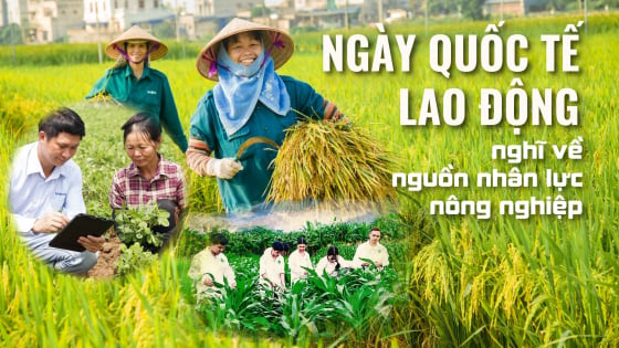 Ngày quốc tế lao động, nghĩ về nguồn nhân lực nông nghiệp