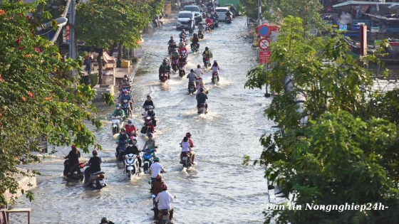 Đông Nam bộ sẽ có 4 đợt triều cường cao trong nửa cuối năm