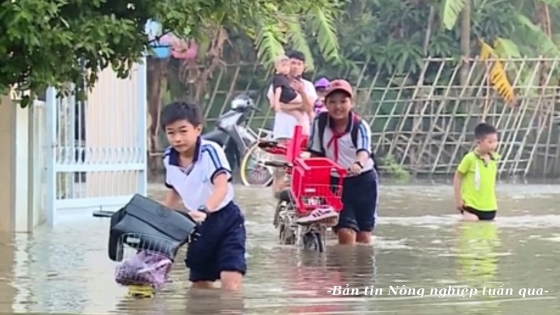 Tăng cường khả năng ứng phó thiên tai cho trẻ em