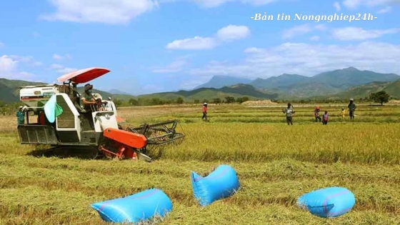 Đẩy mạnh cơ giới hóa nông nghiệp vùng Nam Trung bộ - Tây Nguyên