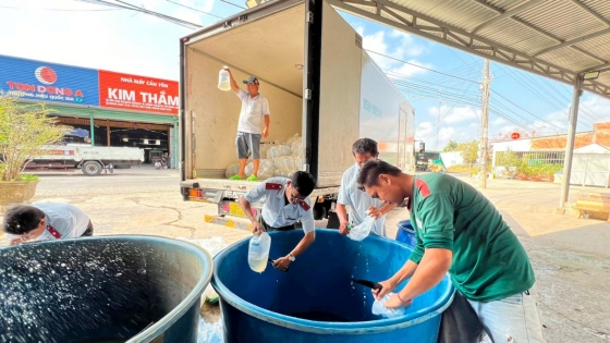 Bản tin Thủy sản ngày 28/5/2024: Tiêu hủy hơn 2,1 triệu con giống thủy sản