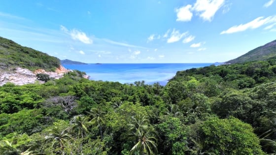 Bảo vệ hệ sinh thái rừng, biển tại Côn Đảo gắn với phát triển du lịch
