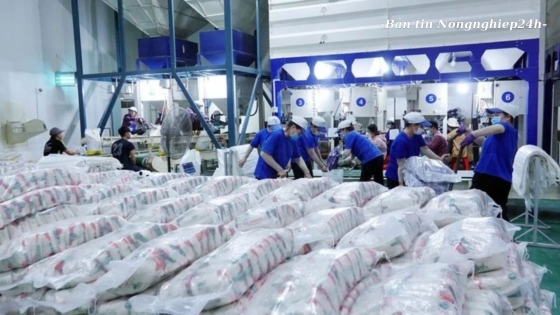 Việt Nam chỉ có 21 doanh nghiệp được xuất khẩu gạo sang Trung Quốc