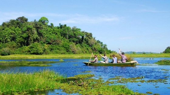 Bản tin Lâm nghiệp ngày 23/7/2024: Tạo điều kiện phát triển du lịch sinh thái rừng