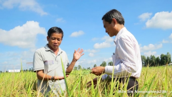 Khuyến nông cộng đồng giúp ngành nông nghiệp tháo gỡ hai điểm nghẽn lớn