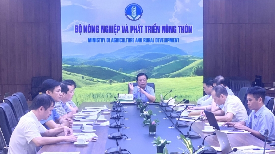 Phát triển rừng bằng tư duy mới