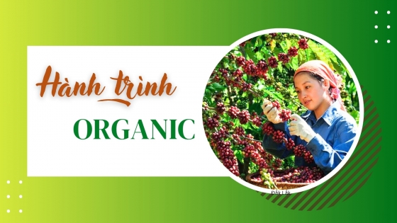 Hành trình organic: Kiếm tìm giá trị bền cho đất bazan