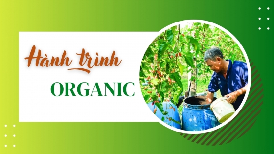 Hành trình organic: Những người 'gàn' ở đất Tây Ninh