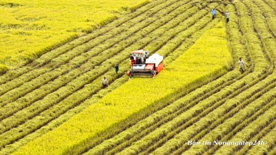 Thực hiện các giải pháp đảm bảo sản xuất trồng trọt thắng lợi toàn diện