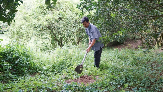 Đồng Nai phát triển nông nghiệp hữu cơ theo chuẩn Nhật Bản