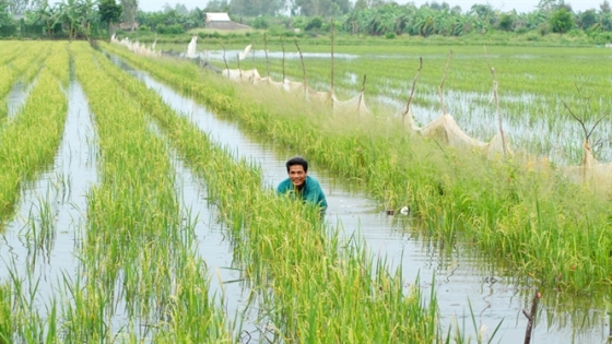 Những nông dân dẫn dắt phục hồi hệ sinh thái tự nhiên vùng đầu nguồn