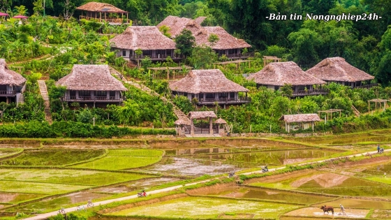 Ngành nông nghiệp và du lịch phối hợp phát triển nông thôn Việt Nam