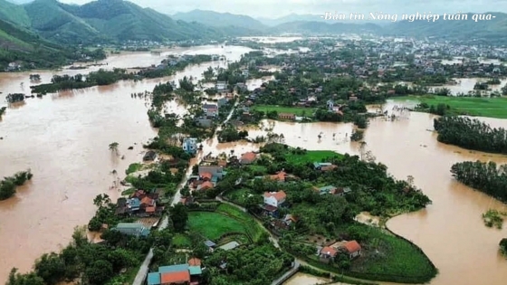 5 bài học kinh nghiệm trong ứng phó thiên tai