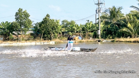 Giải quyết khó khăn trong phòng, chống dịch bệnh để ngành thủy sản tăng tốc