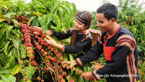 Đầu tư vào Tây Nguyên cần trách nhiệm với đồng bào dân tộc thiểu số