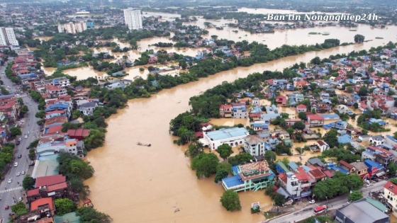 Tiếp cận những phương pháp mới để giảm lũ lụt