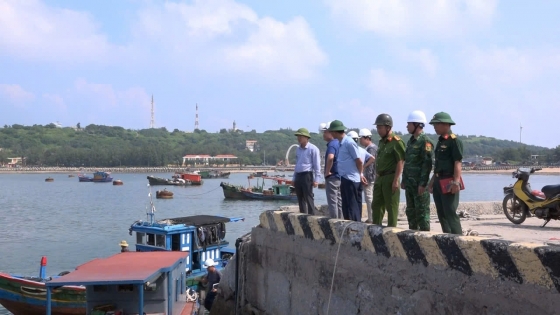 Hải Phòng chủ động ứng phó thiên tai trên biển