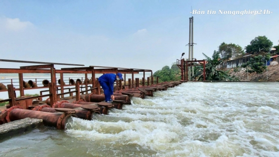 Khẩn trương bảo trì công trình thủy lợi, sẵn sàng lấy nước đổ ải đợt 1