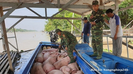 Đã nhận diện đúng đối tượng, địa bàn trong chống buôn lậu động vật